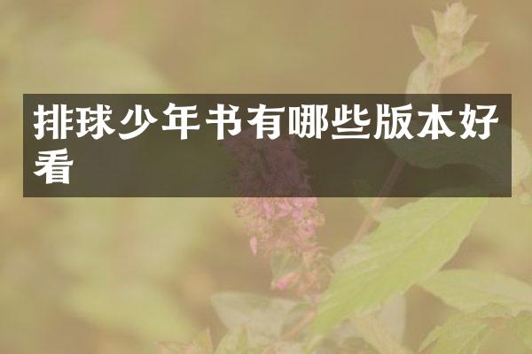 排球少年书有哪些版本好看