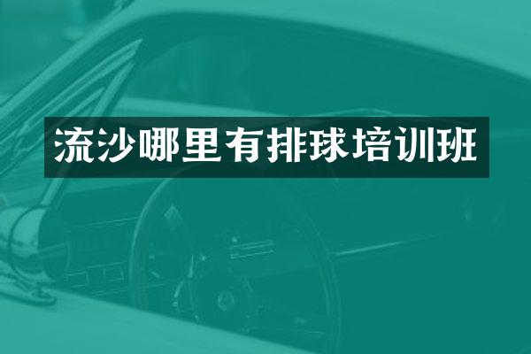 流沙哪里有排球培训班