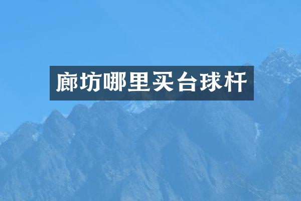 廊坊哪里买台球杆