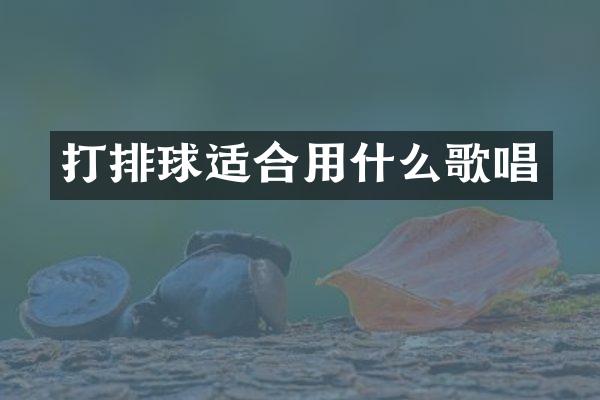 打排球适合用什么歌唱