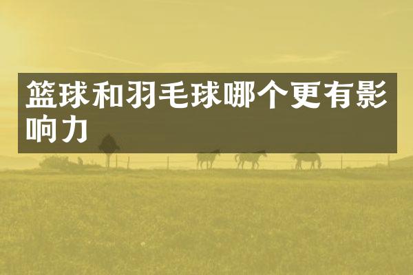 篮球和羽毛球哪个更有影响力