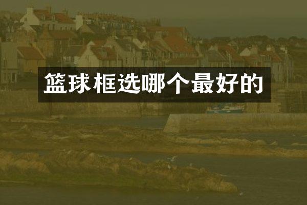 篮球框选哪个最好的