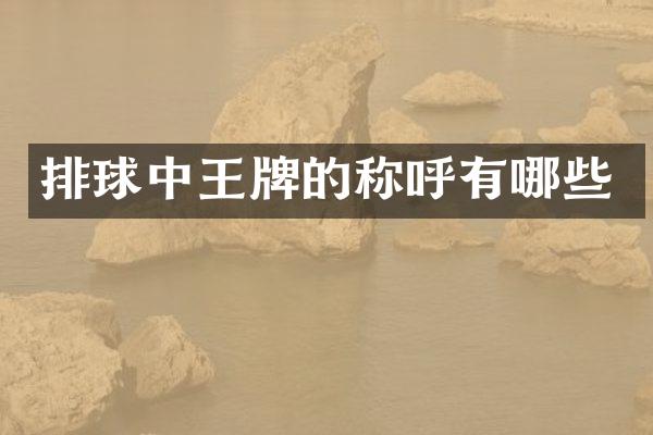 排球中王牌的称呼有哪些