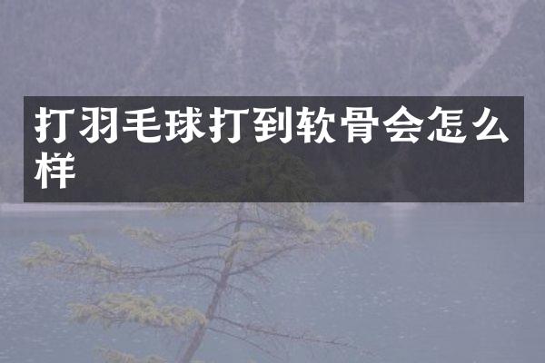 打羽毛球打到软骨会怎么样