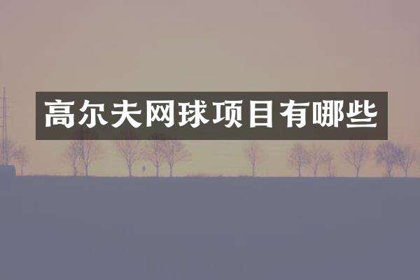 高尔夫网球项目有哪些