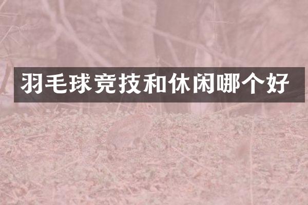 羽毛球竞技和休闲哪个好