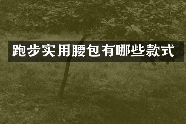 跑步实用腰包有哪些款式