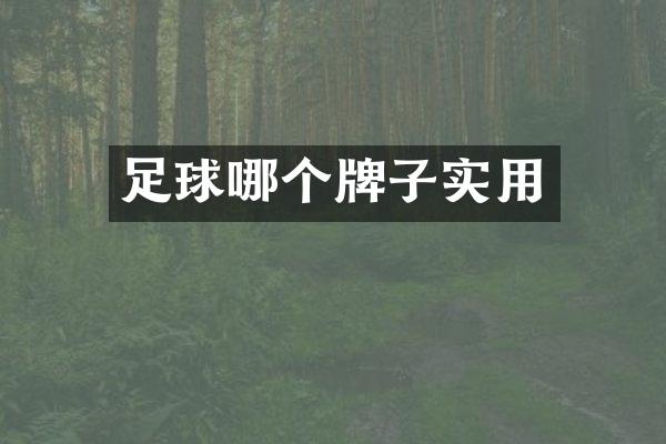 足球哪个牌子实用