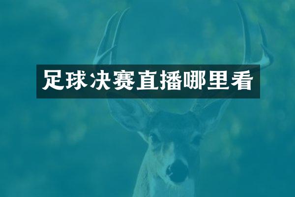 足球决赛直播哪里看
