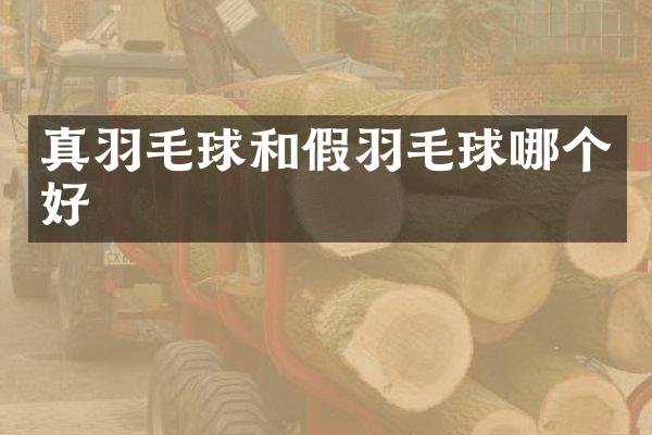 真羽毛球和假羽毛球哪个好