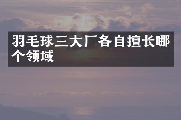 羽毛球三大厂各自擅长哪个领域
