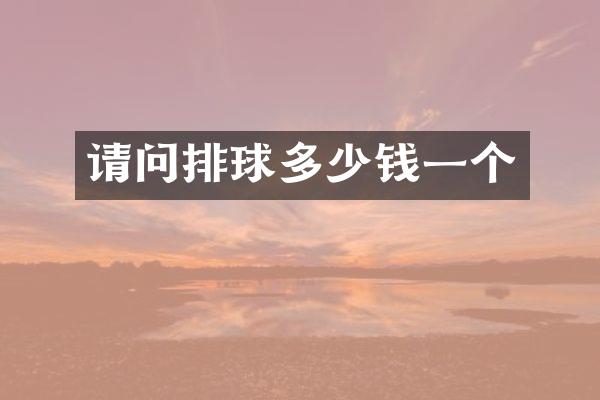 请问排球多少钱一个