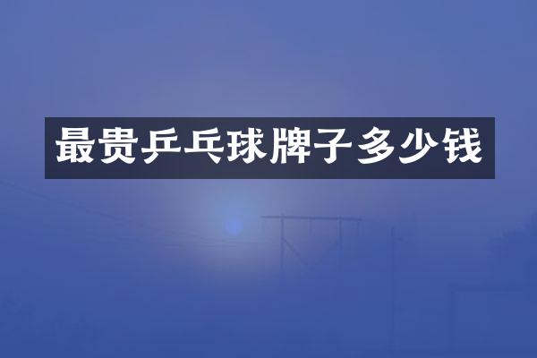 最贵乒乓球牌子多少钱