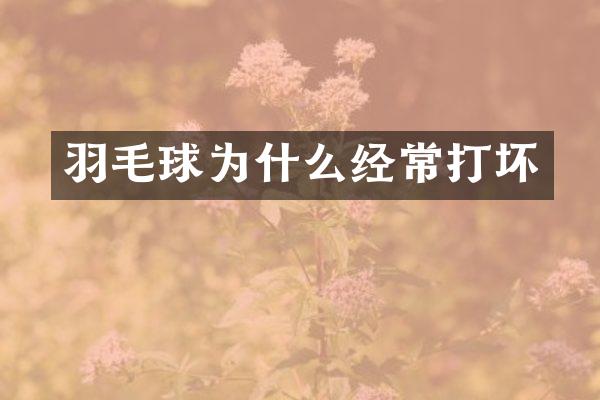 羽毛球为什么经常打坏