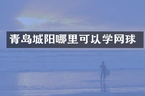 青岛城阳哪里可以学网球