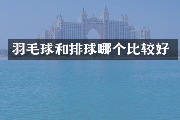 羽毛球和排球哪个比较好