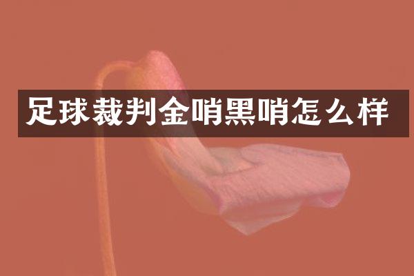 足球裁判金哨黑哨怎么样