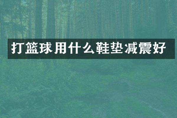 打篮球用什么鞋垫减震好