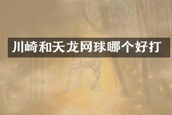 川崎和天龙网球哪个好打