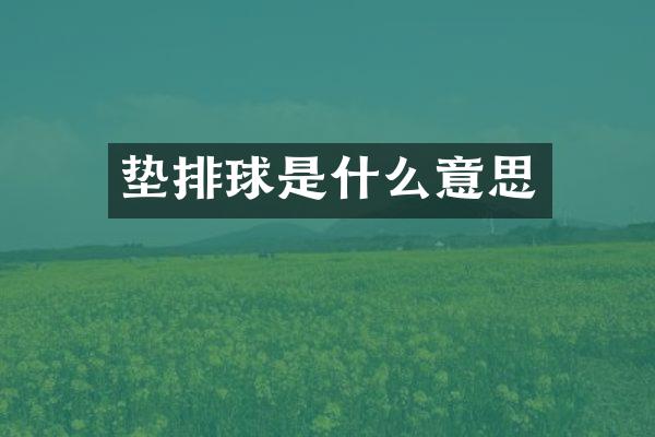 垫排球是什么意思