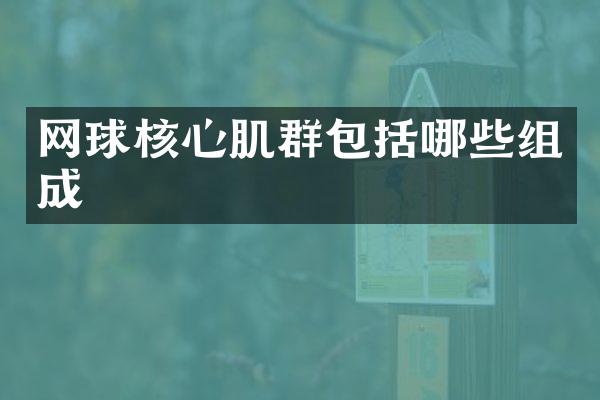 网球核心肌群包括哪些组成