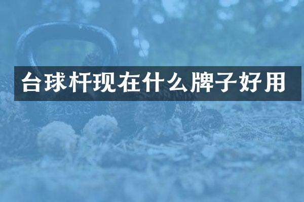 台球杆现在什么牌子好用
