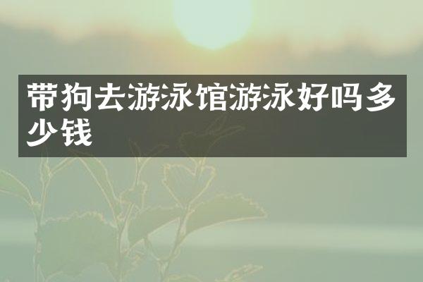 带狗去游泳馆游泳好吗多少钱