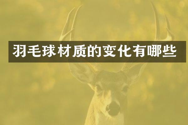 羽毛球材质的变化有哪些