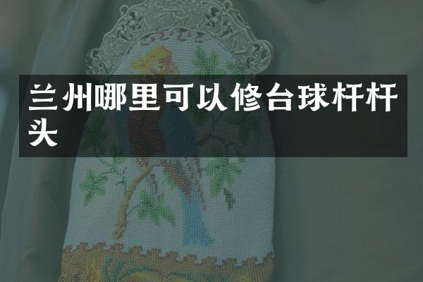 兰州哪里可以修台球杆杆头
