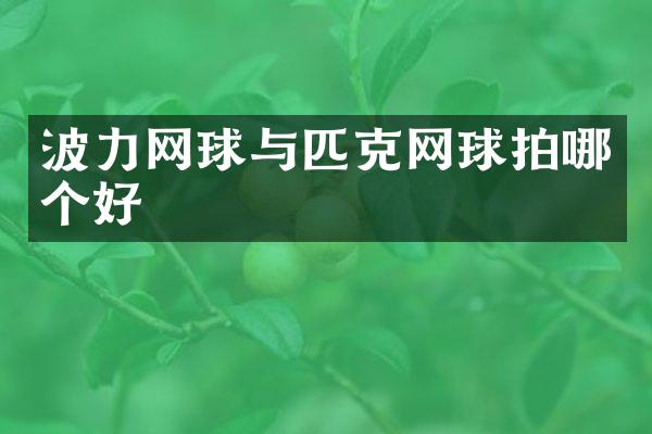 波力网球与匹克网球拍哪个好