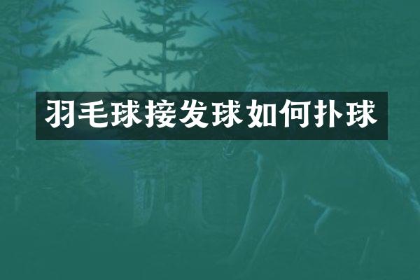 羽毛球接发球如何扑球