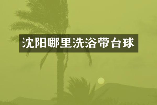 沈阳哪里洗浴带台球