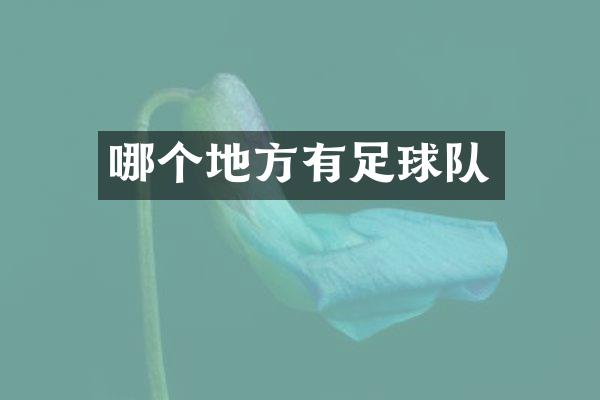 哪个地方有足球队