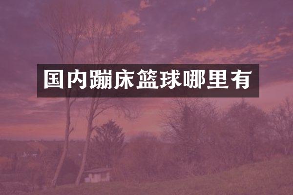 国内蹦床篮球哪里有