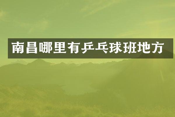 南昌哪里有乒乓球班地方