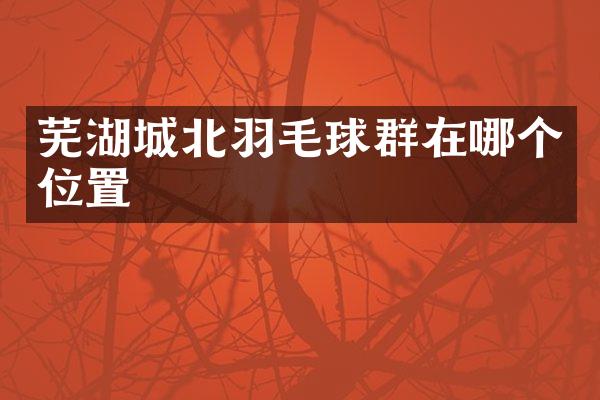 芜湖城北羽毛球群在哪个位置