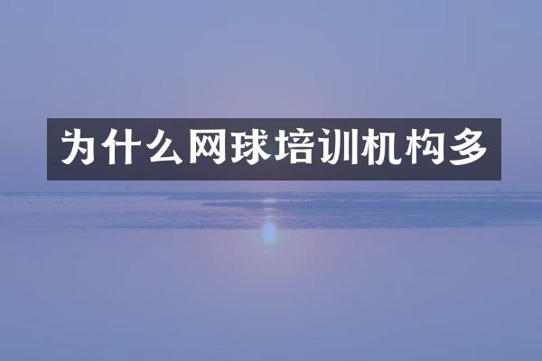 为什么网球培训机构多