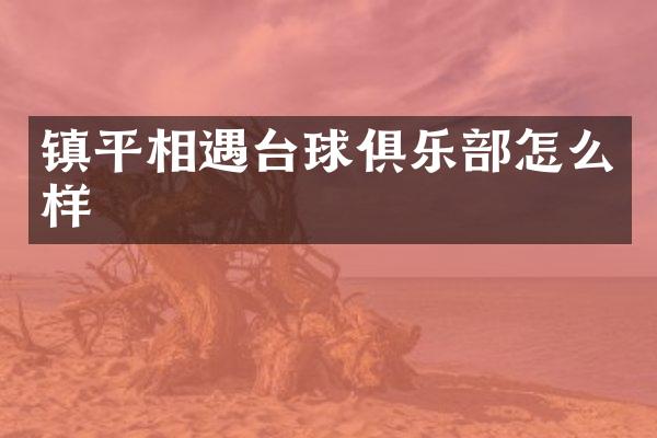 镇平相遇台球俱乐部怎么样