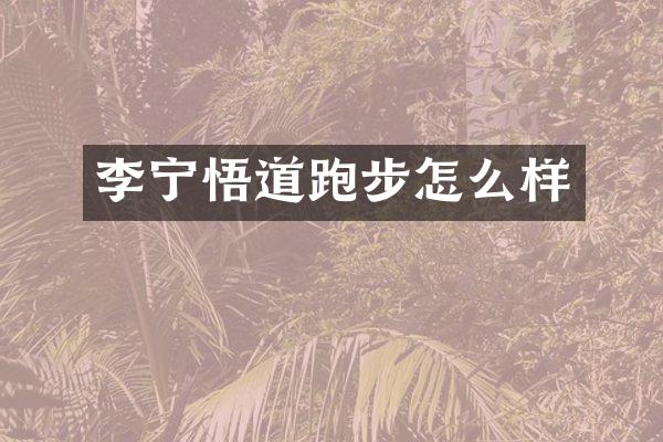 李宁悟道跑步怎么样