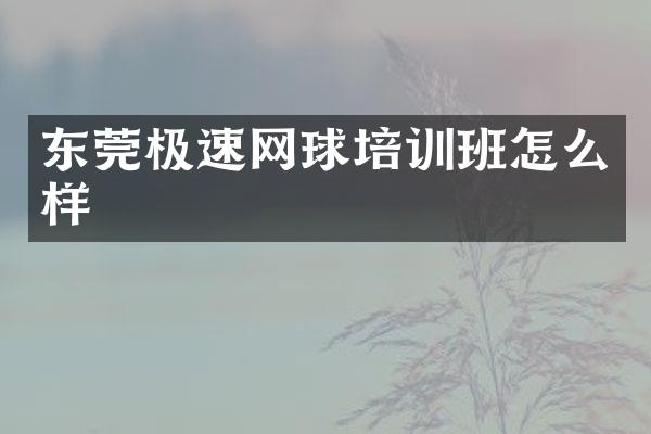 东莞极速网球培训班怎么样