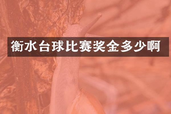 衡水台球比赛奖金多少啊