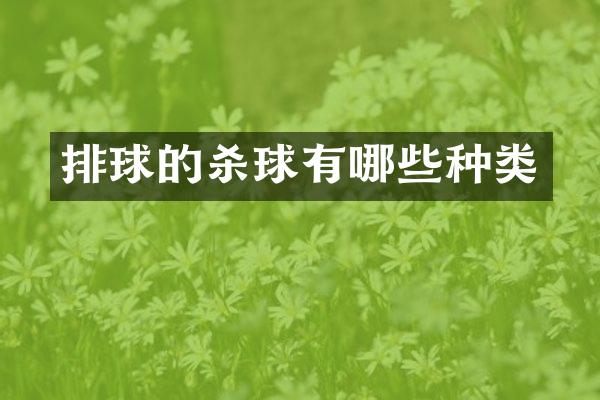 排球的杀球有哪些种类