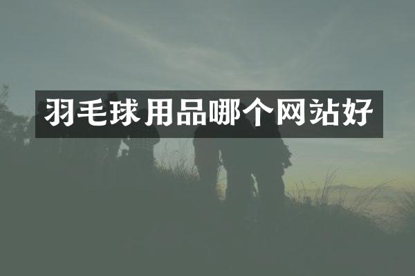 羽毛球用品哪个网站好