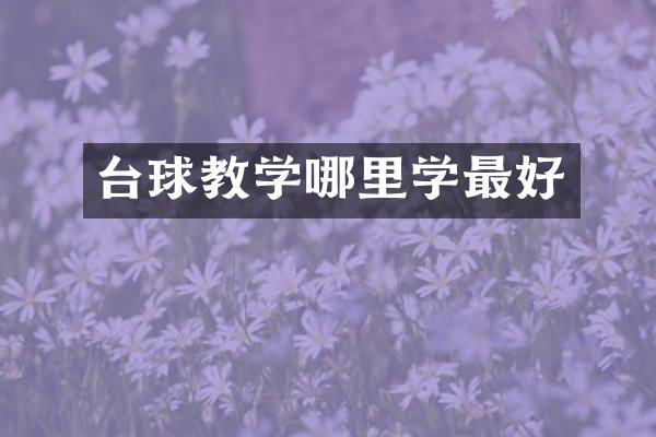 台球教学哪里学最好