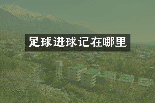 足球进球记在哪里