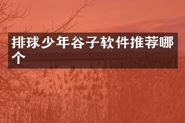 排球少年谷子软件推荐哪个