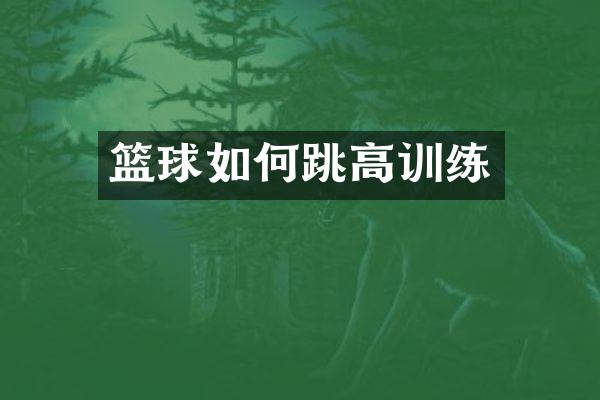 篮球如何跳高训练