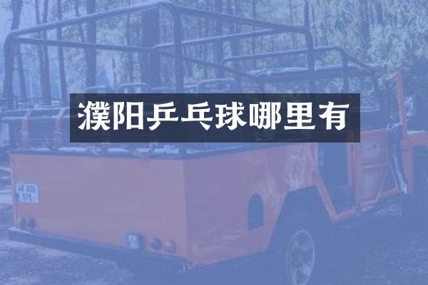 濮阳乒乓球哪里有