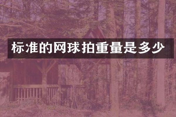 标准的网球拍重量是多少