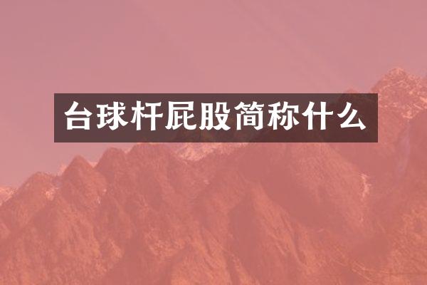 台球杆屁股简称什么